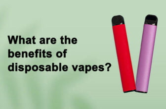 What are the benefits of disposable vapes?