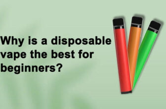 Why is a disposable vape the best for beginners?