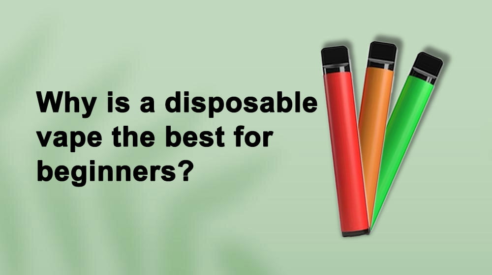 Why is a disposable vape the best for beginners?