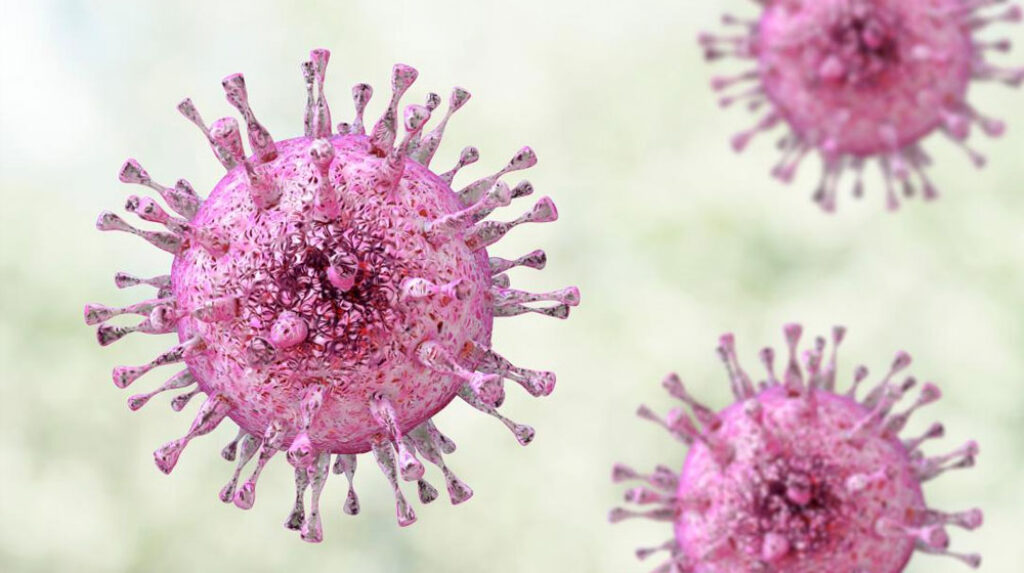 Herpes virus