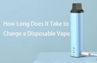 How Long Does It Take to Charge a Disposable Vape