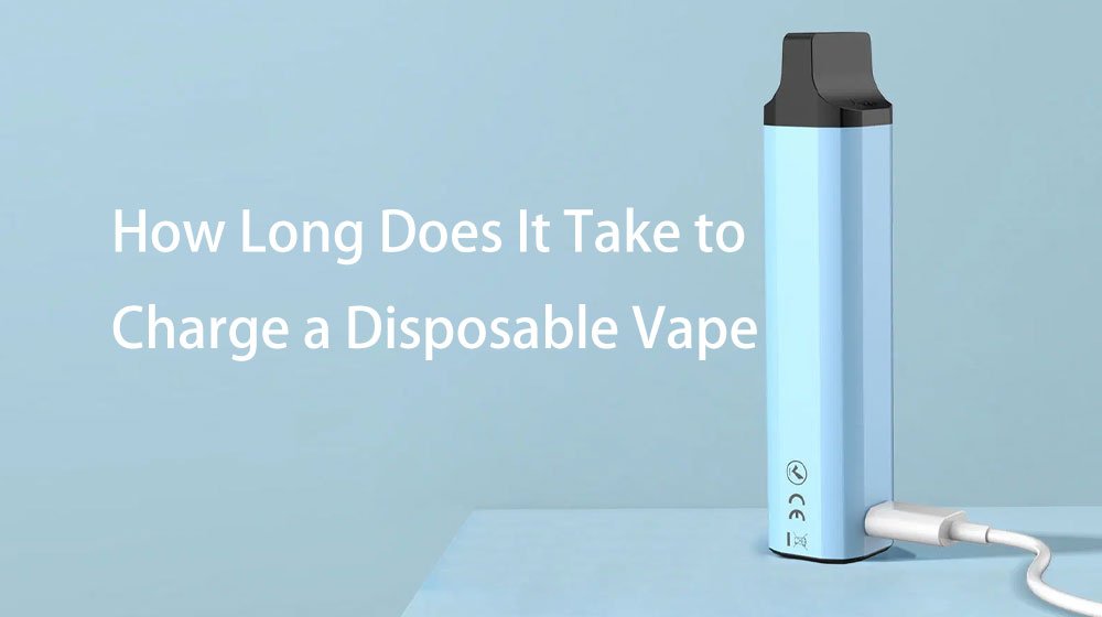 How Long Does It Take to Charge a Disposable Vape
