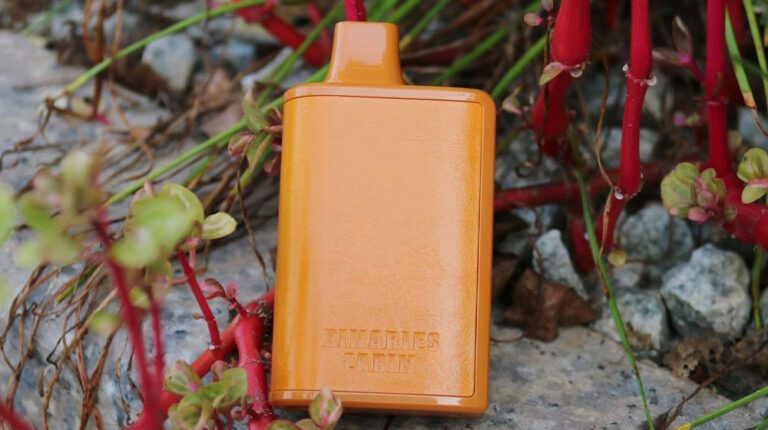 HorizonTech Binaries Cabin 10000 Puffs