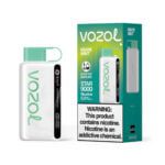 VOZOL Star 9000 Disposable Vape 9000 Puffs