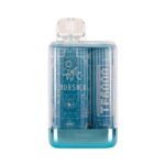 Elf Bar TE6000 Disposable Vape 6000 Puffs