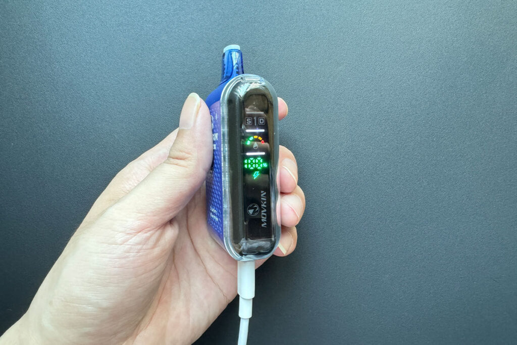 Rechargeable Disposable Vapes