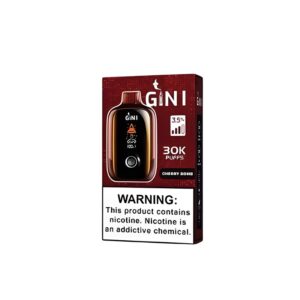 GINI GN30000 Disposable Vape