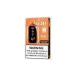 GINI GN30000 Disposable Vape
