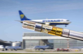 Can You Bring a THC Vape on a Plane