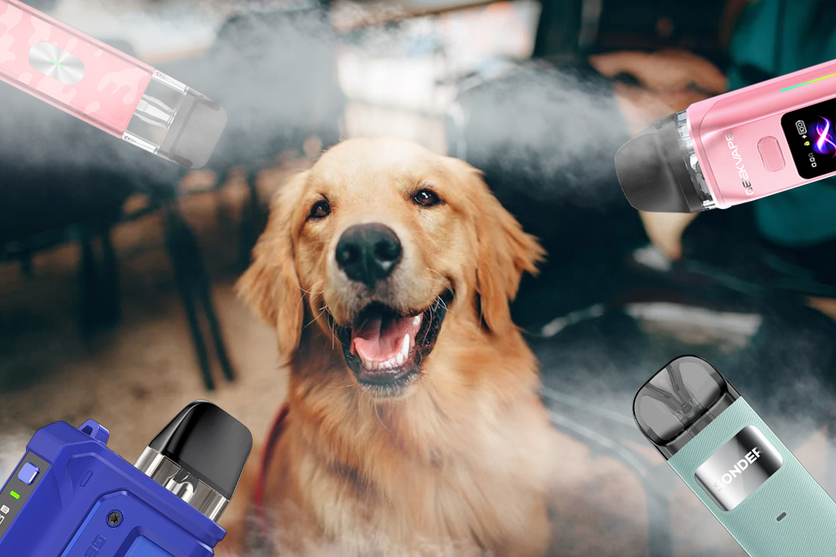 Does a Dog Get High from Vape Smoke? A Comprehensive Guide for Pet Owners