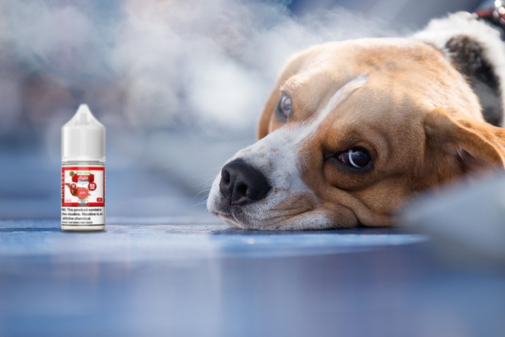 nicotine poisoning