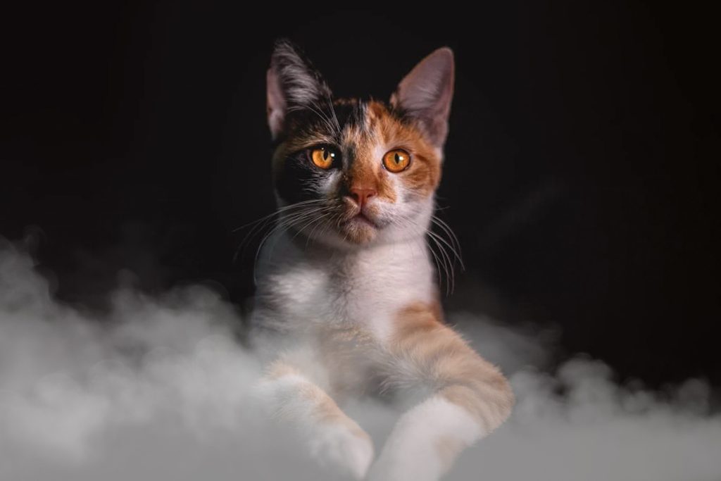 The Dangers Lurking in Vape Smoke