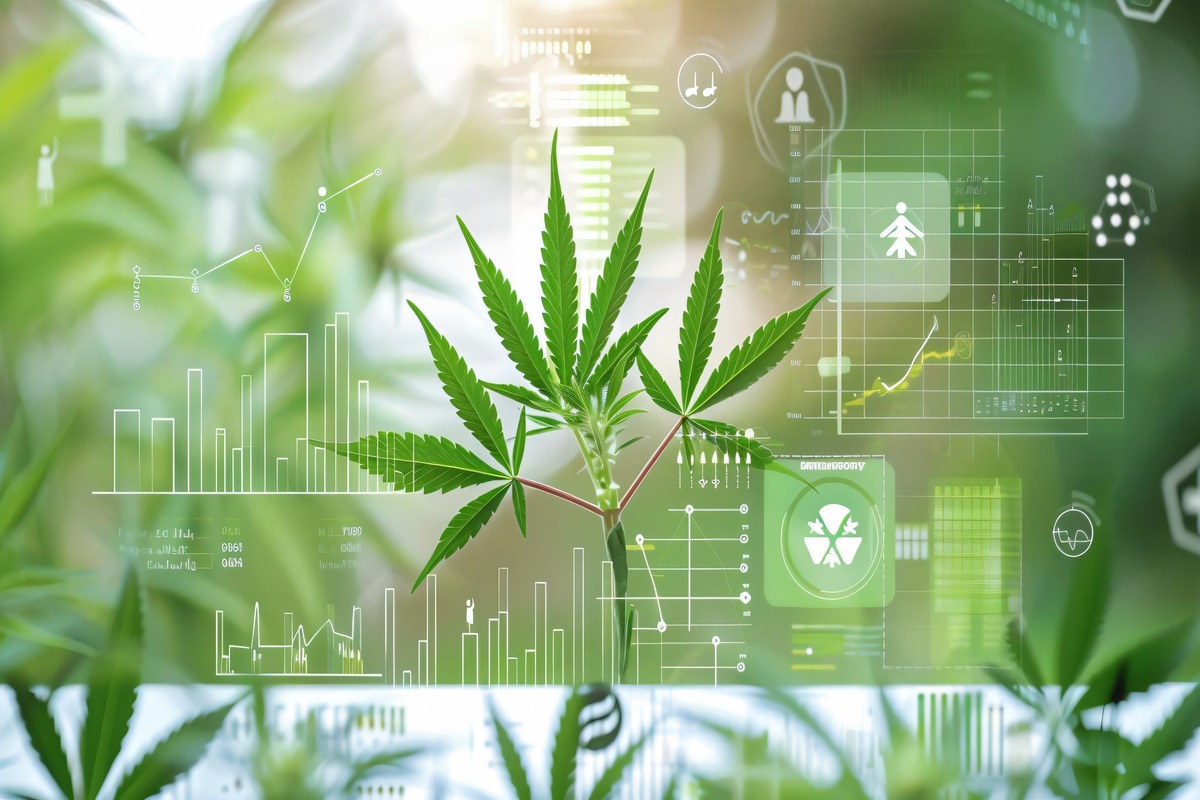 Cannabis Software