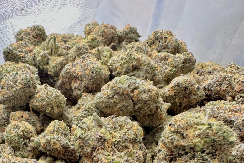 THCA Flower