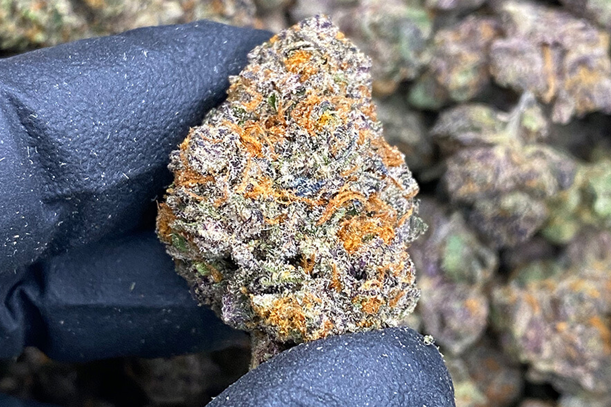 THCA Flower