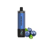 HOPO Hookah DTL 50000 Disposable Vape