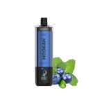 HOPO Hookah DTL 50000 Disposable Vape
