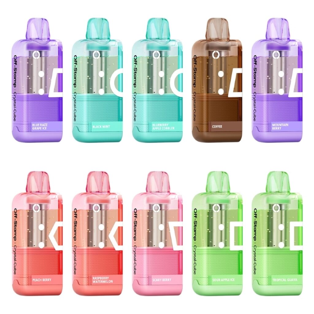 elfbar elfa master akku Box of 10 SKE 600 Pro Prefilled Pod Kit main image 1