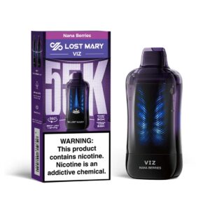Lost Mary VIZ 55K Puff Disposable vape