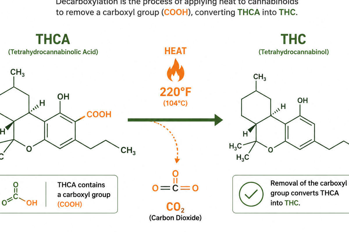 Decarboxylation process diagram showing THCA converting to THC through heat