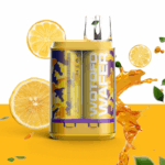 Wotofo Wafer 5000 Disposable Vape 5000 Puffs — product view