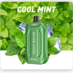 VEIIK Micko Space Disposable Vape 7000 Puffs — product view
