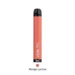 VEIIK Micko Mega Disposable Vape Kit — product view