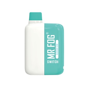 mrfog mr fog switch 5500 disposable vape 1